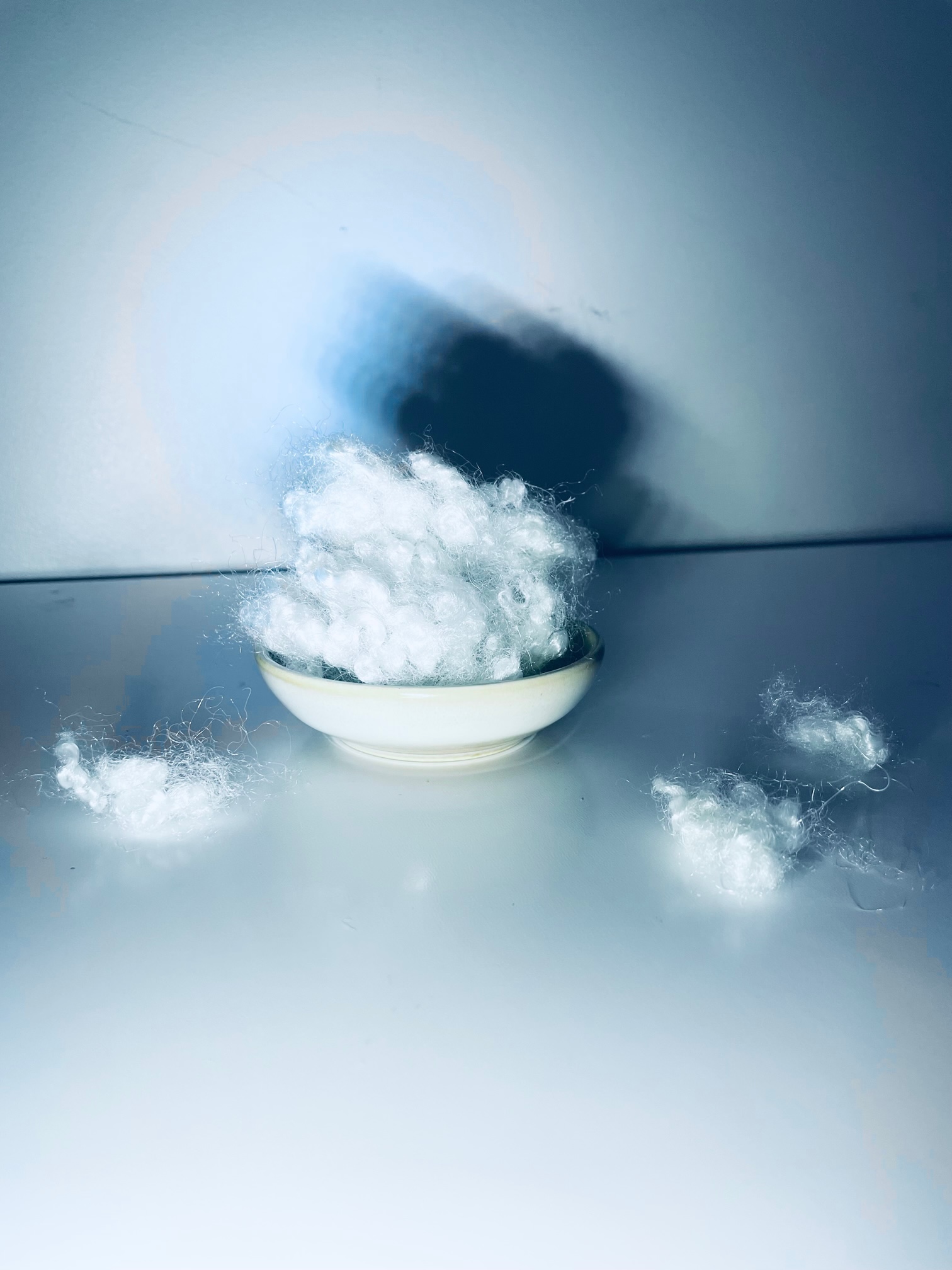 fibres polyester recyclées