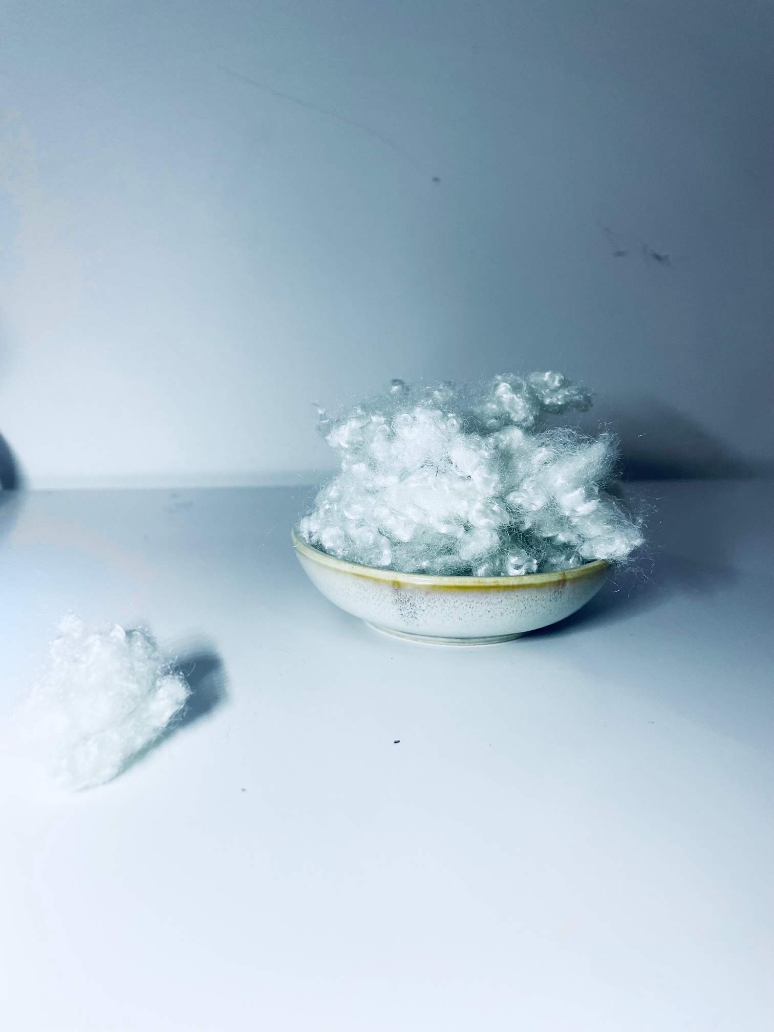 fibres polyester recyclées